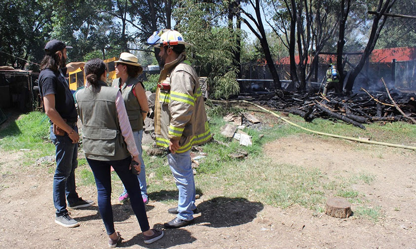 incendio zoológico
