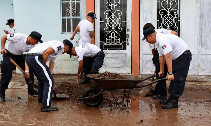 cadetes limpieza casas Quinceo Tromba