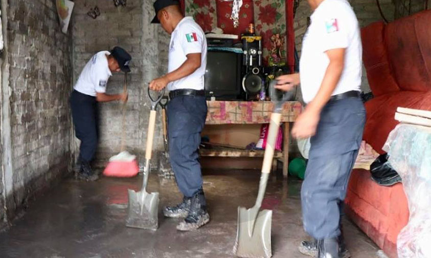 cadetes limpieza casas Quinceo Tromba