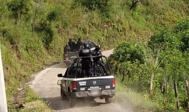 El fresa el Many capturar Michoacán