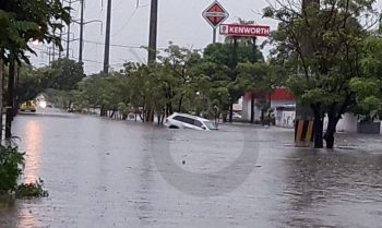 cocodrilo inundación Lázaro Cárdenas Michoacán