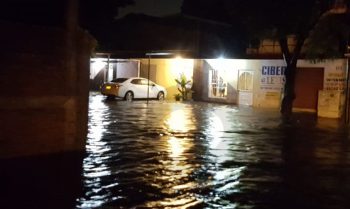 cocodrilo inundación Lázaro Cárdenas Michoacán