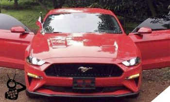 Mustang robo Uruapan Michoacán