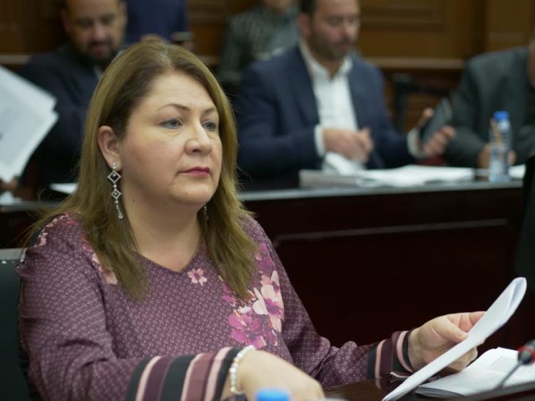 Cristina Portillo Ayala apuntó las posibles razones de la crisis financiera en Michoacán