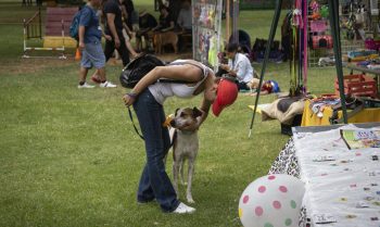 Feria adopción perros Morelia