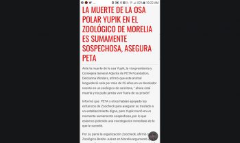Yupik zoo Morelia Josúe Rangel Díaz