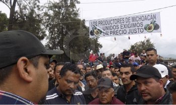 convoy aguacate Michoacán