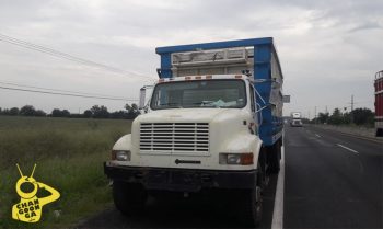 cortadores de limón descarga eléctrica Apatzingán