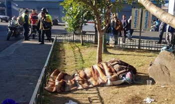 Sergio indigente Zamora muerto