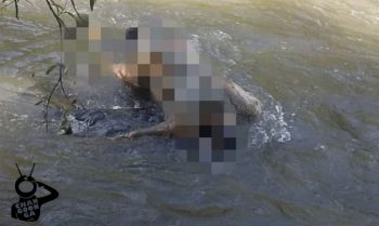cadáver río Zitácuaro