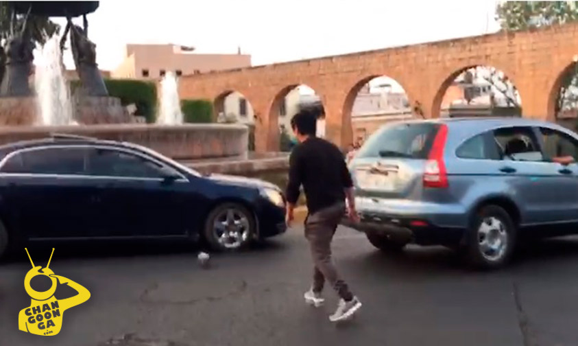 Paloma-rescatada-Morelia