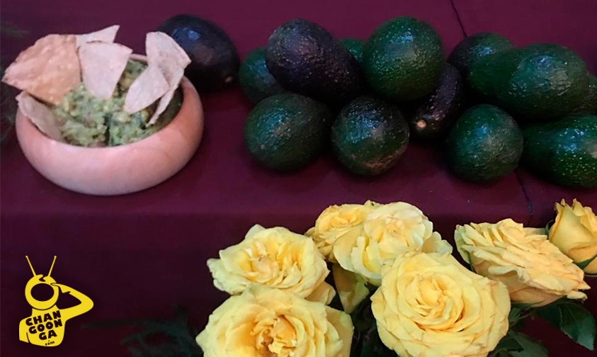 aguacate-feria-Michoacán