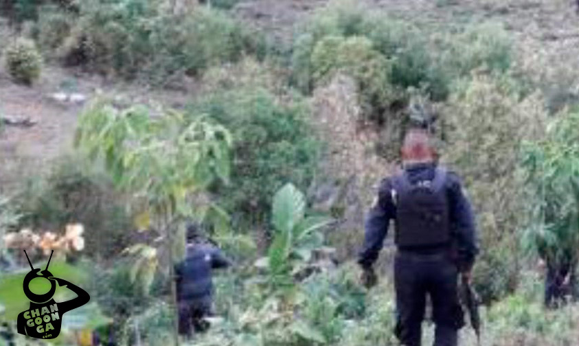 enfrentamiento-policías-gatilleros-Ziracuaretiro