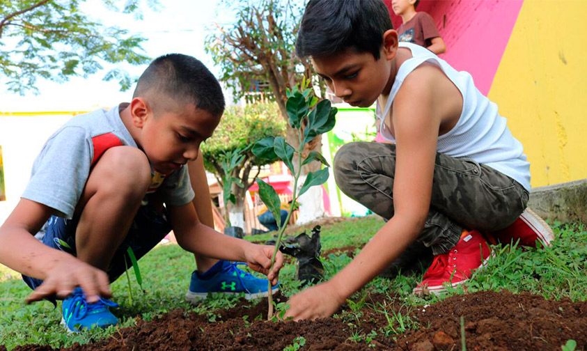 reforestar-niños-aguacates-Uruapan