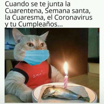 MM Coronavirus