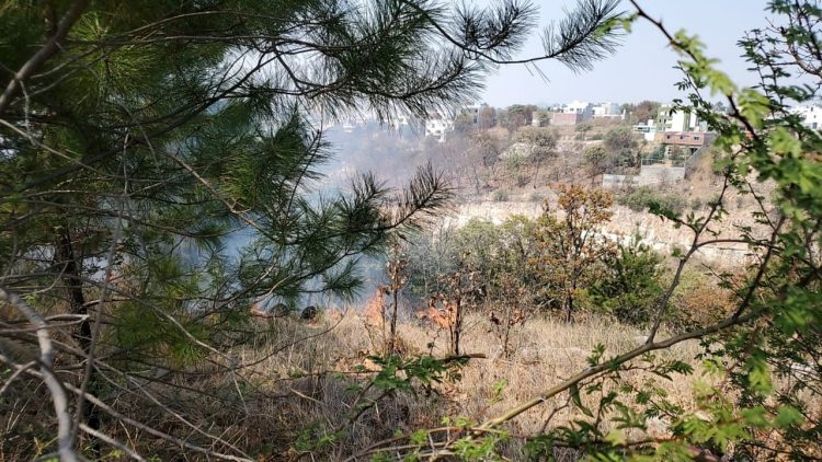 Incendio en pastizal de Jesús del Monte