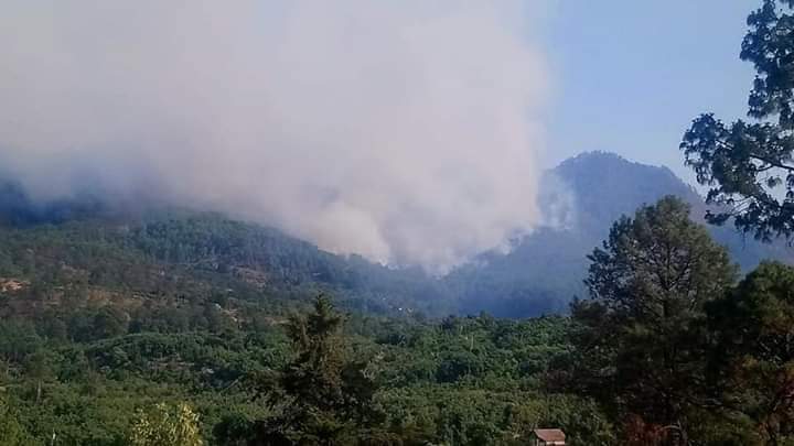 Incendio en el cerrod e los 3 Picos en Tacámbaro