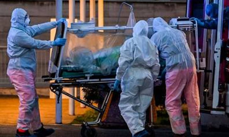 Imagen ilustrativa de Coronavirus 