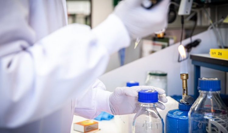Coronavirus| Imagen CSIC