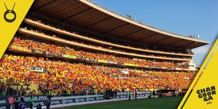 Aficionados De Monarcas Morelia Planean Manifestarse En Partidos De Mazatlán