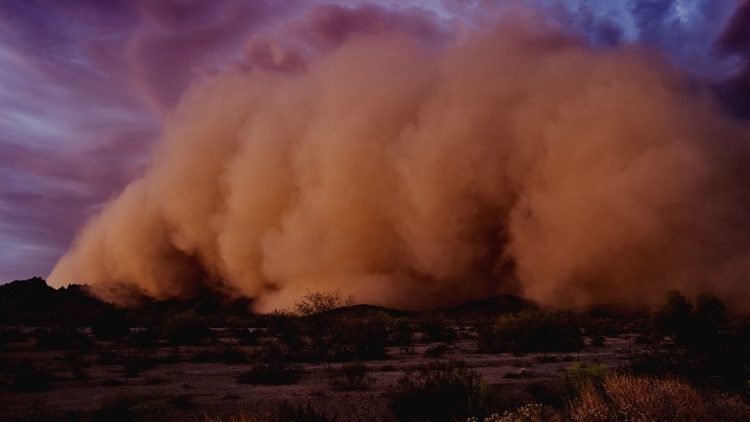 Polvo Del Sahara Aumentaría Mortalidad En Gente Con Asma Y Enfisema: López Gatell