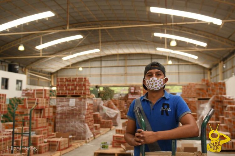 #Michoacán Otros Héroes De La Pandemia, Travesía Para Entregar Libros De Secu