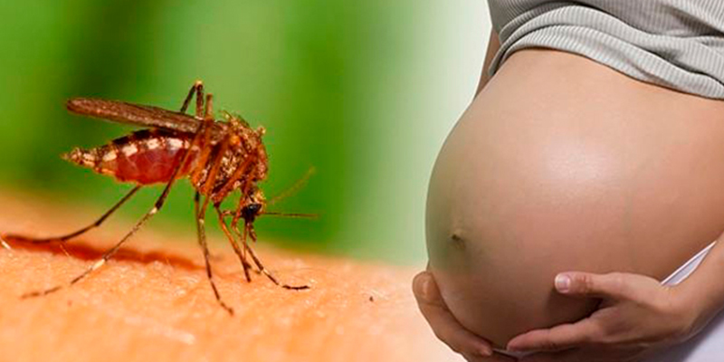 Virus-Zika-En-México-Embarazada2