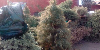 arboles-navidad-reciclados
