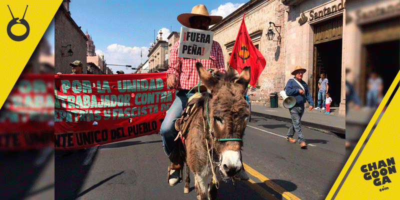 burro-Peña-Nieto-manifestacion-Morelia-2