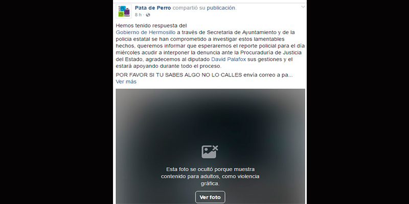 perros-calcinados-en-Sonora-1