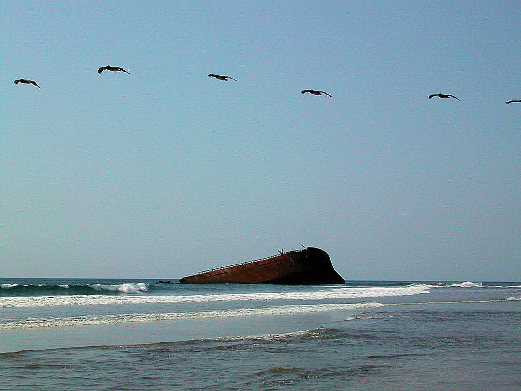 Barra de Tigre embarcación Betula Michoacán