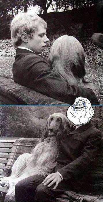 Forever alone y perro