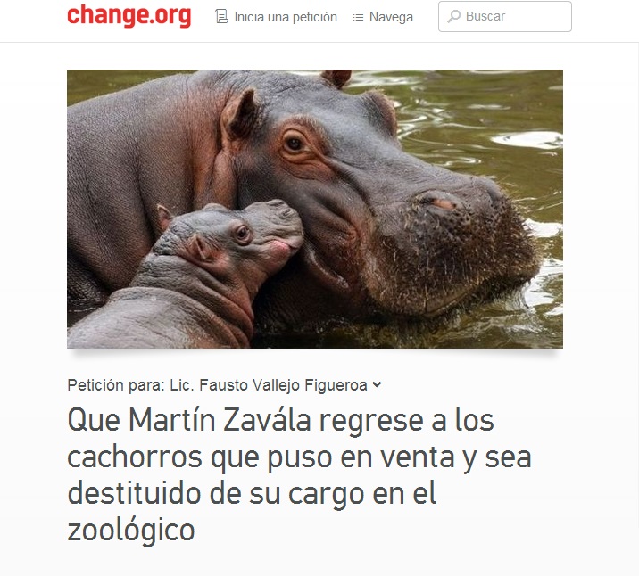 petición destitución director zoo de Morelia regreso de crías