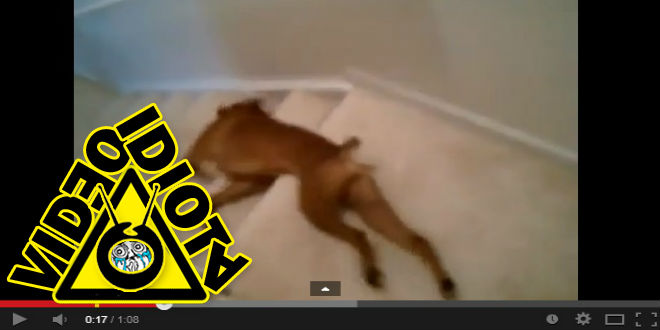 video idiota masaje en las escaleras