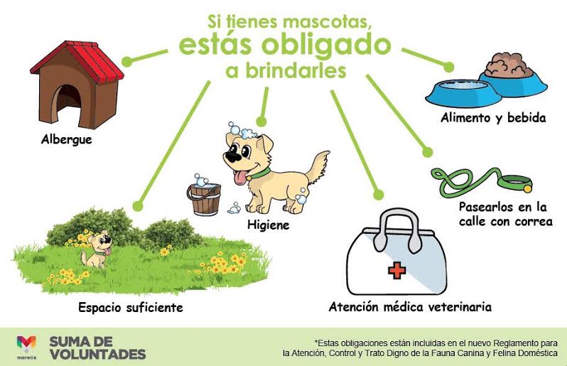 Centro De Atención Canina De Morelia Trabaja En Favor De Los Animales Y La Salud Pública