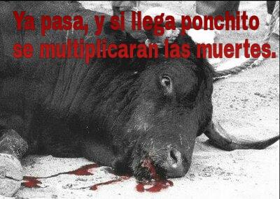 campaña en contra de Alfonso Martínez por animalistas de Morelia 2