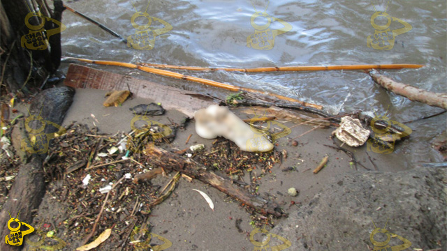 Pie-Humano-Junto-Al-Río-Lerma-En-La-Piedad