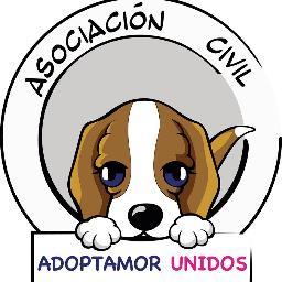 adoptamor logo