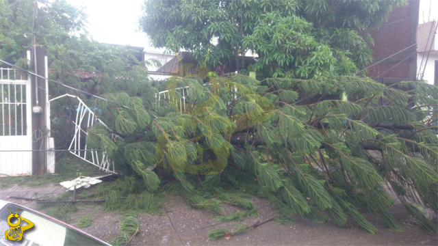 daños-Lazaro-Cardenas-huracan-Patricia
