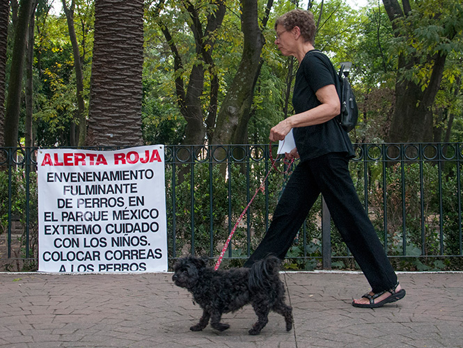 perros la condesa