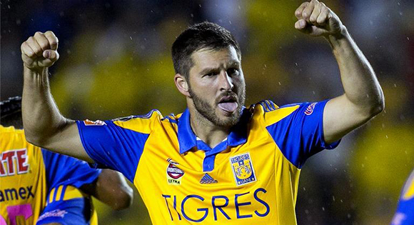 gignac tigres