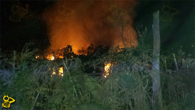 incendio-cabaña-Morelia-mueren-dos-caballos