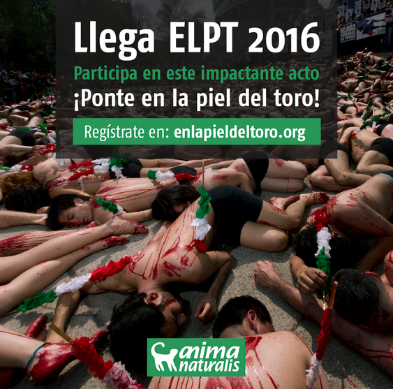 acto contra tauromaquia morelia