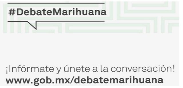 debate marihuana méxico