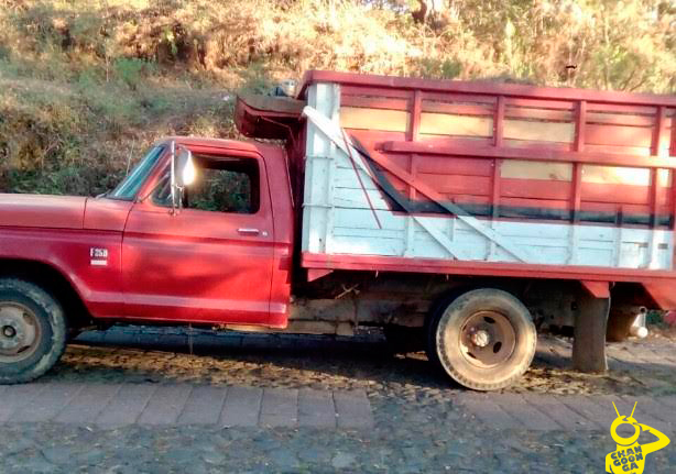 senguio-madera-ilegal