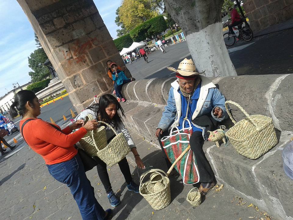 Foto Vía: Adopta No Compres / OCRi Morelia
