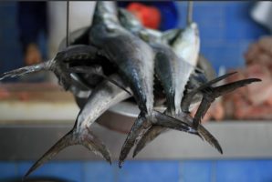 Garantizan El Abasto De Pescados Y Mariscos A Precios Accesibles #Cuaresma2016