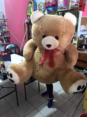 denunciamesta se chingaron un oso