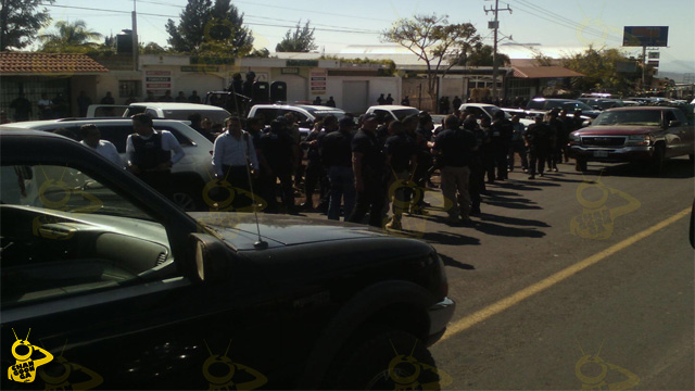 operativo-armado-Michoacan-Los-Reyes-3