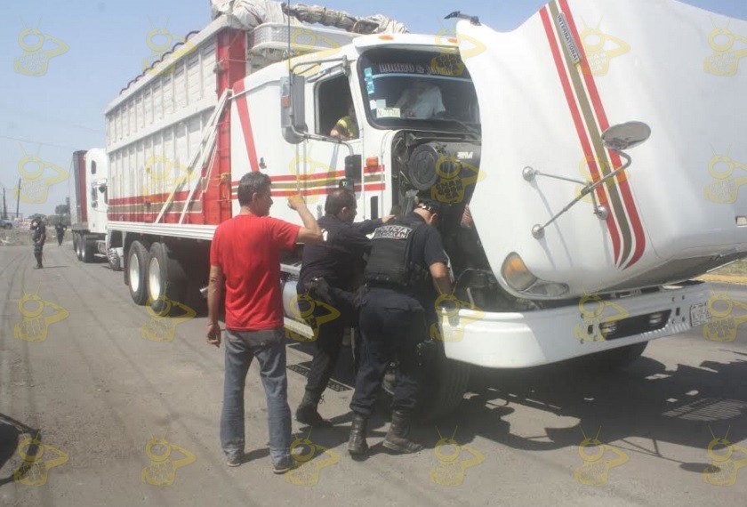 papa en morelia operativos